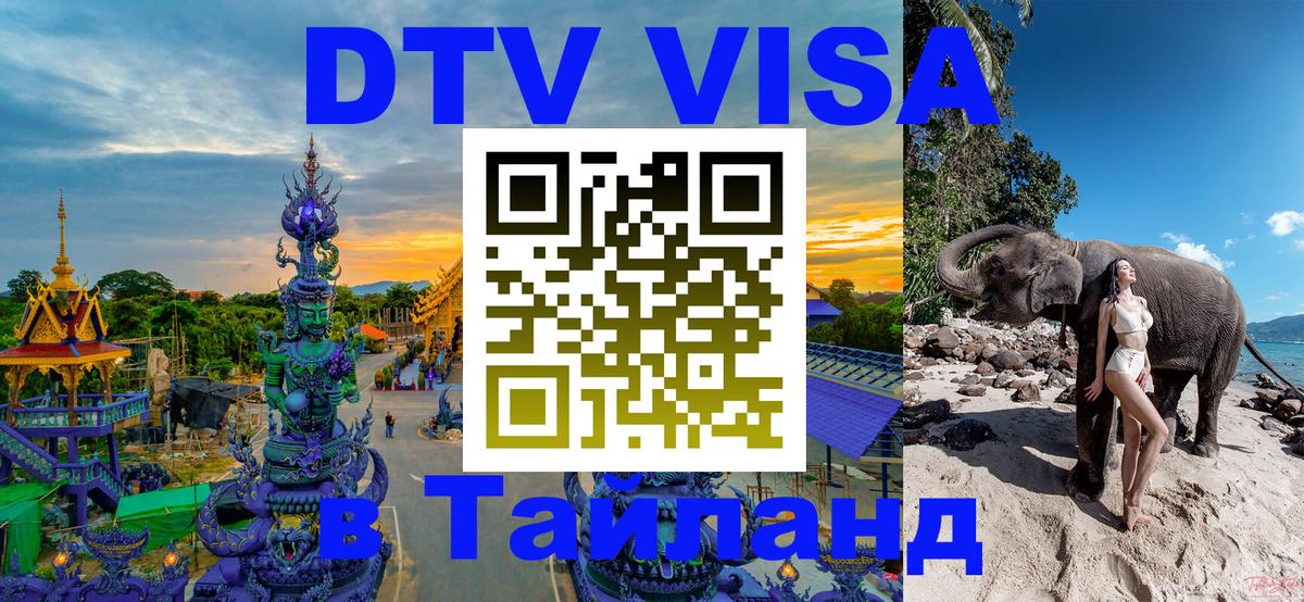 Оформление DTV визы под ключ: стоимость и тарифы, только загранпаспорт - 19.11.2025 